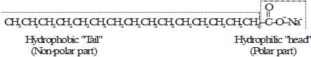 Carbon and its Compounds Class 10 Notes Science Chapter 4